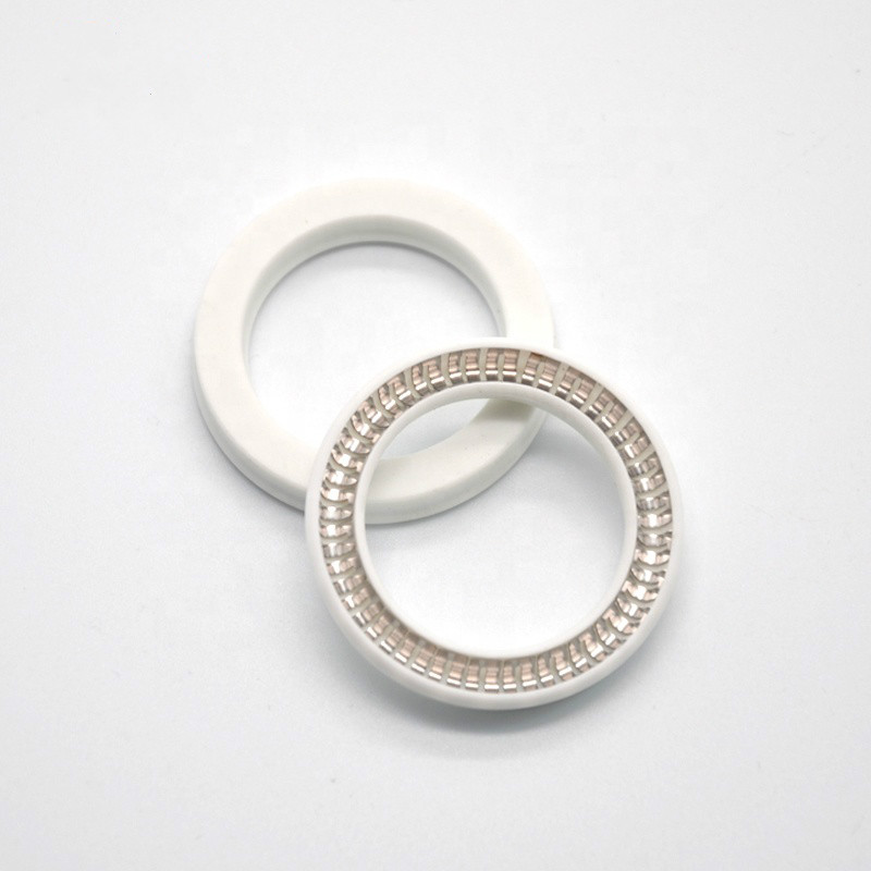 Spring Energized PTFE Seals